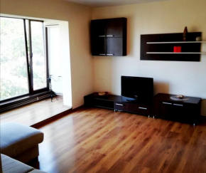 Apartament Andra, Timişoara